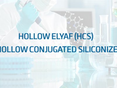 Hollow Conjugated Siliconized